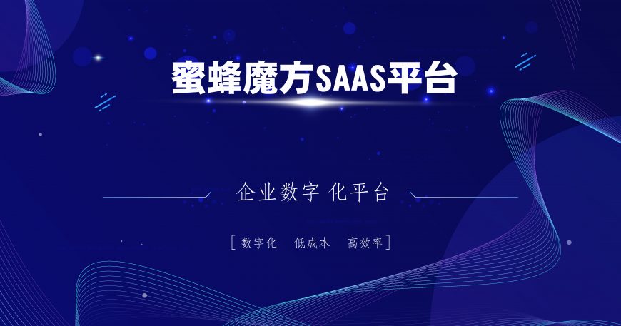 蜜蜂魔方SAAS平台上线快速实现企业数字化管理缩略图