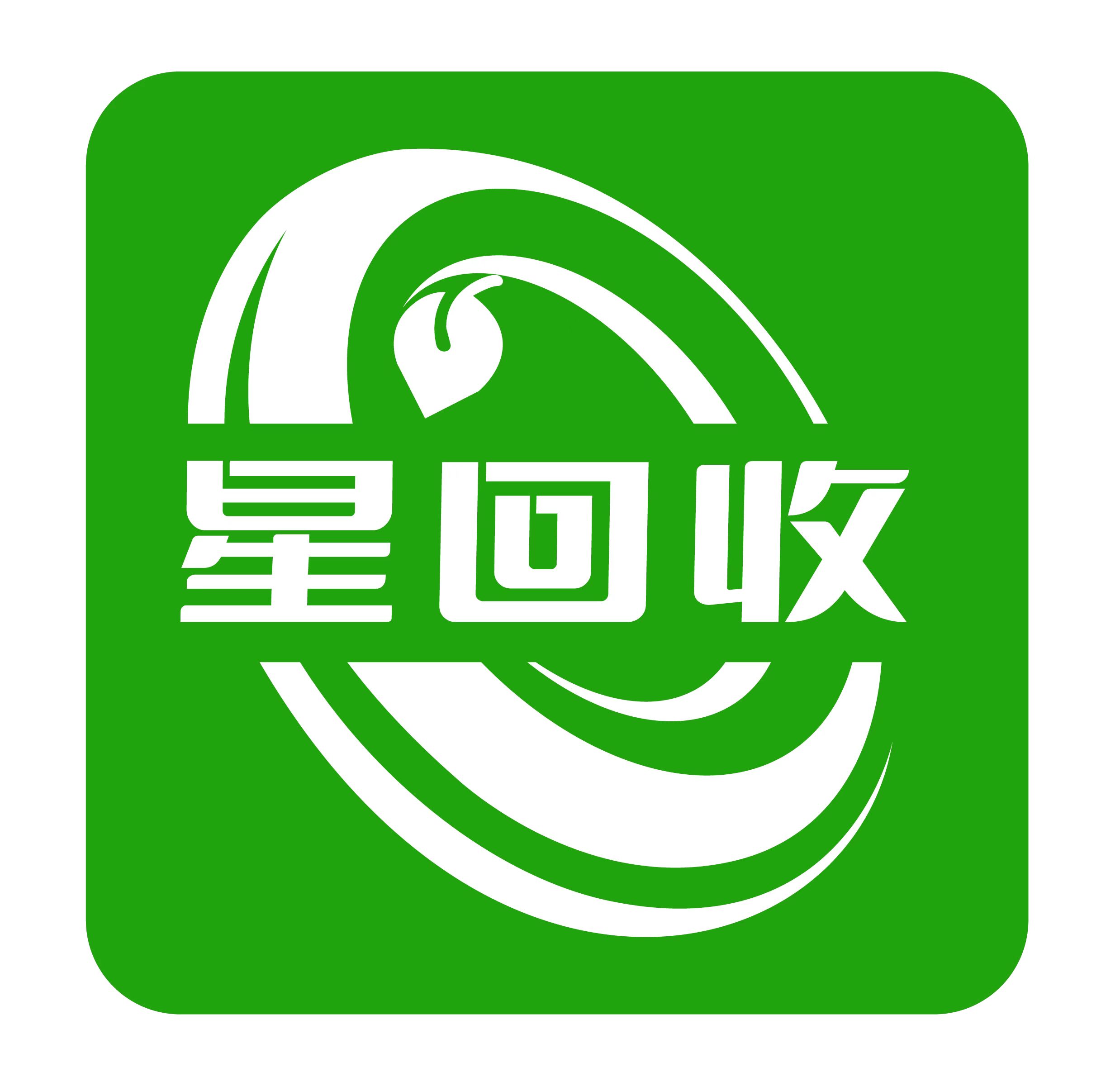 青岛双星插图1