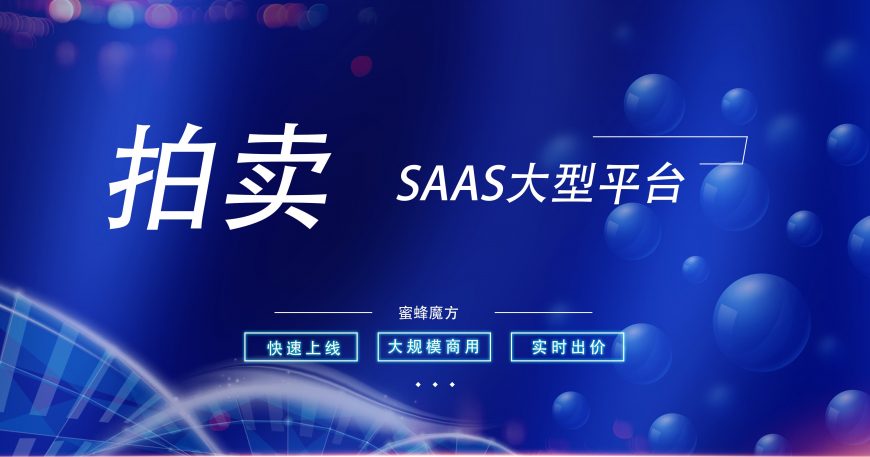 拍卖系统SAAS平台快速上线拍卖小程序缩略图