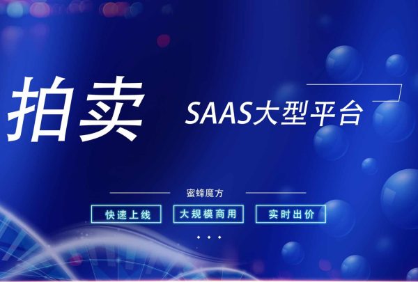 下面是一份关于如何开发拍卖小程序SAAS平台的文章。) (1)