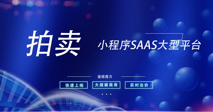 拍卖小程序大型SAAS平台快速上线拍卖小程序缩略图