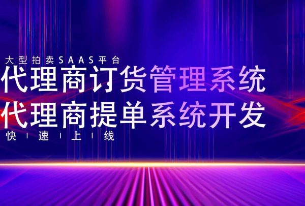代理商订货管理系统代理商提单系统开发)(1)