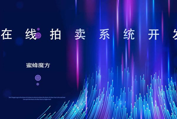在线拍卖系统开发)(1)