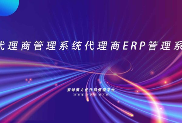 代理商管理系统 (155)
